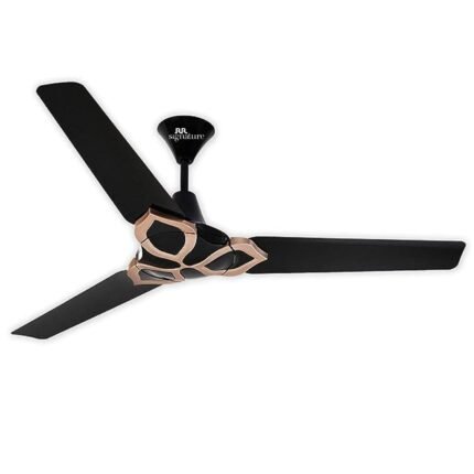 RR Signature Jaipur Gangaur 1200mm Designer Ceiling Fan For Home (2 Year Warranty, Abu Black)