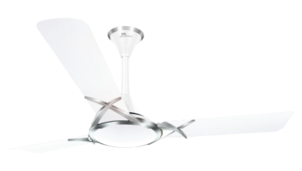 Deltoid 1200mm(48)